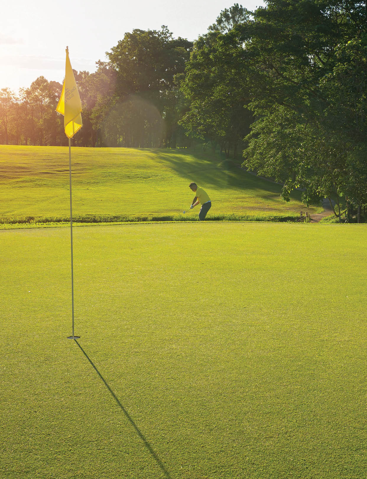 Blurred Golfer putting ball on the green golf, lens flare on sun set evening time.